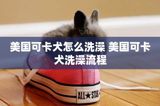 美國可卡犬怎么洗澡 美國可卡犬洗澡流程