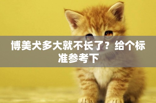 博美犬多大就不長了？給個標準參考下