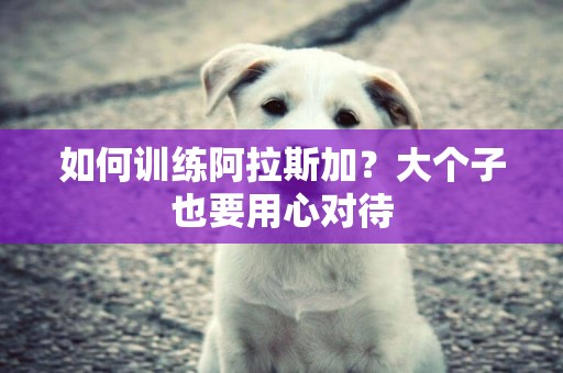 如何訓練阿拉斯加？大個子也要用心對待