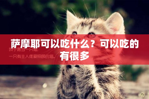 薩摩耶可以吃什么？可以吃的有很多