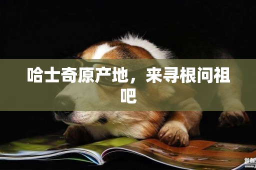 哈士奇原產地，來尋根問祖吧