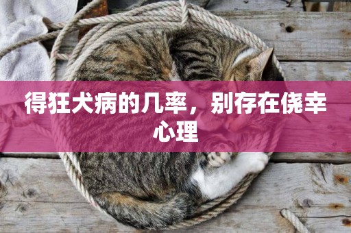 得狂犬病的幾率，別存在僥幸心理