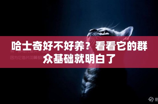 哈士奇好不好養？看看它的群眾基礎就明白了