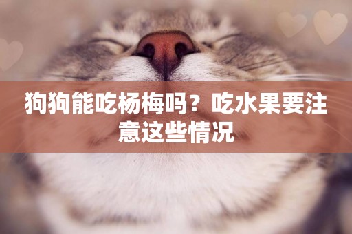 狗狗能吃楊梅嗎？吃水果要注意這些情況