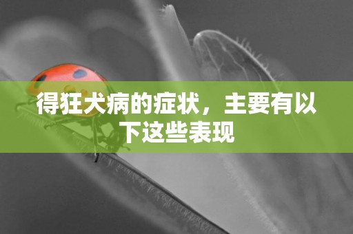 得狂犬病的癥狀，主要有以下這些表現