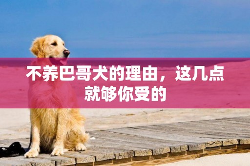 不養巴哥犬的理由，這幾點就夠你受的