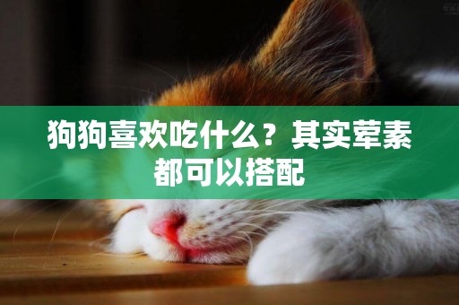 狗狗喜歡吃什么？其實葷素都可以搭配