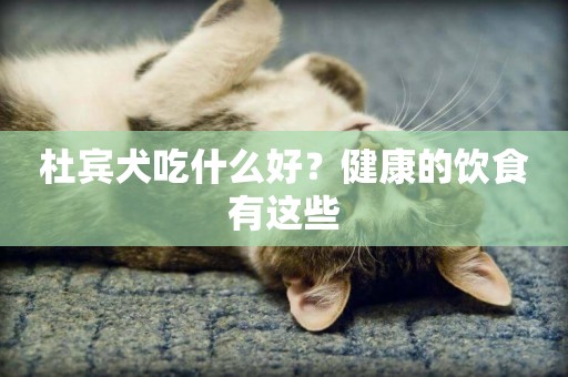 杜賓犬吃什么好？健康的飲食有這些