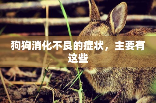 狗狗消化不良的癥狀，主要有這些
