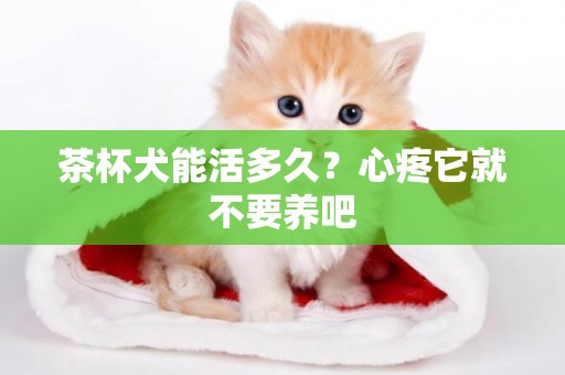 茶杯犬能活多久？心疼它就不要養吧