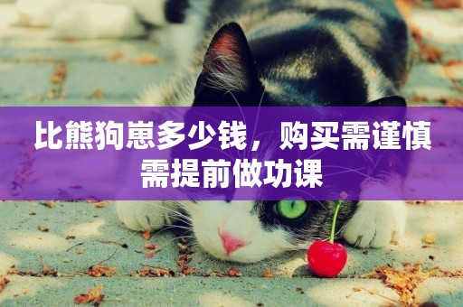 比熊狗崽多少錢，購買需謹慎需提前做功課