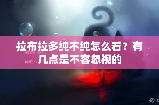 拉布拉多純不純怎么看？有幾點是不容忽視的