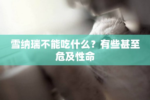 雪納瑞不能吃什么？有些甚至危及性命