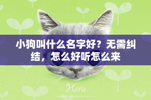 小狗叫什么名字好？無需糾結，怎么好聽怎么來