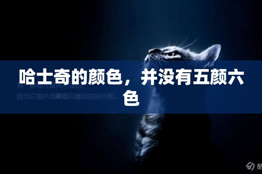 哈士奇的顏色，并沒有五顏六色