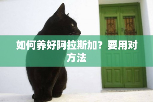 如何養好阿拉斯加？要用對方法