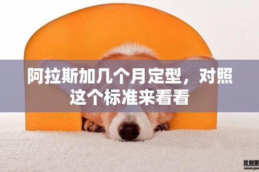 阿拉斯加幾個月定型，對照這個標準來看看