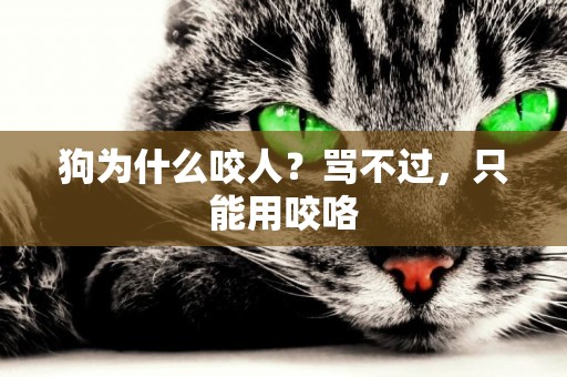 狗為什么咬人？罵不過，只能用咬咯