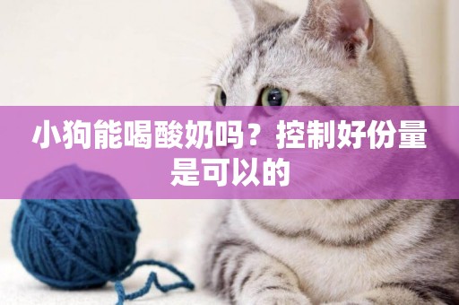小狗能喝酸奶嗎？控制好份量是可以的