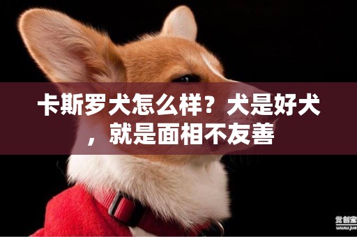 卡斯羅犬怎么樣？犬是好犬，就是面相不友善