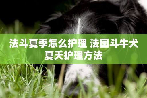 法斗夏季怎么護理 法國斗牛犬夏天護理方法