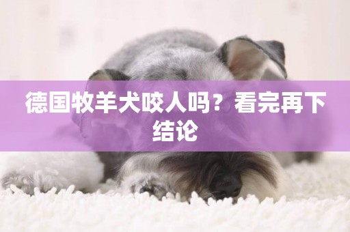 德國牧羊犬咬人嗎？看完再下結論