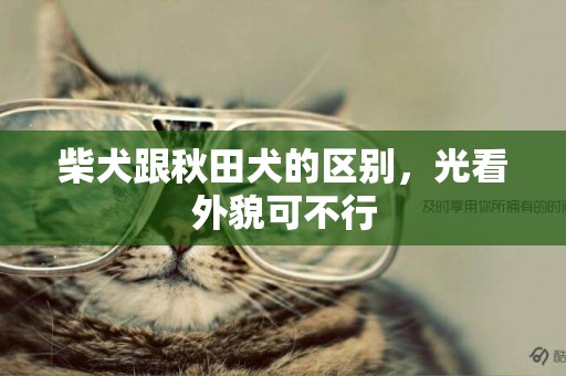 柴犬跟秋田犬的區別，光看外貌可不行