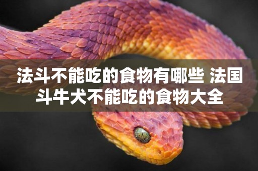 法斗不能吃的食物有哪些 法國斗牛犬不能吃的食物大全