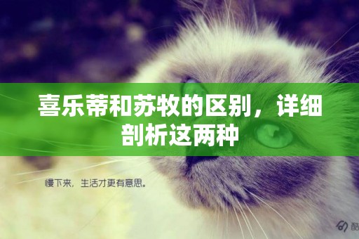 喜樂蒂和蘇牧的區別，詳細剖析這兩種