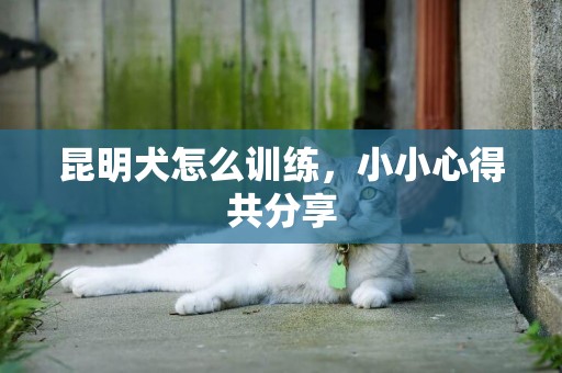 昆明犬怎么訓練，小小心得共分享
