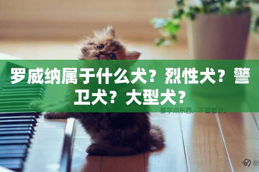 羅威納屬于什么犬？烈性犬？警衛犬？大型犬？