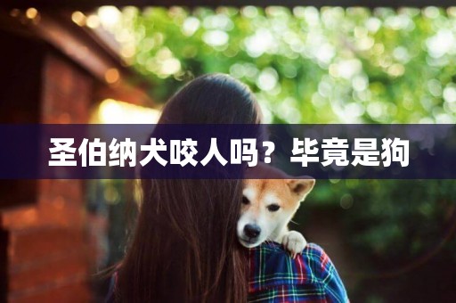 圣伯納犬咬人嗎？畢竟是狗