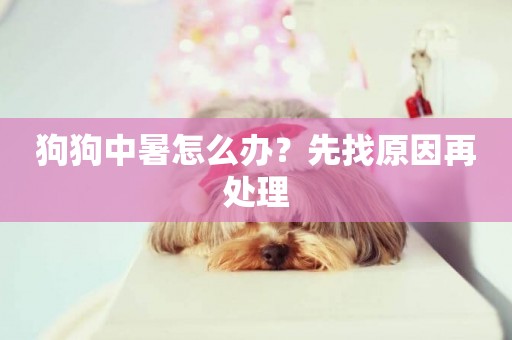 狗狗中暑怎么辦？先找原因再處理