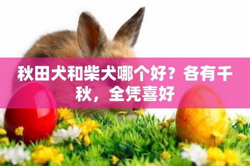 秋田犬和柴犬哪個好？各有千秋，全憑喜好