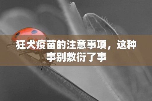 狂犬疫苗的注意事項，這種事別敷衍了事