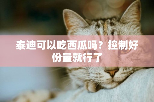 泰迪可以吃西瓜嗎？控制好份量就行了