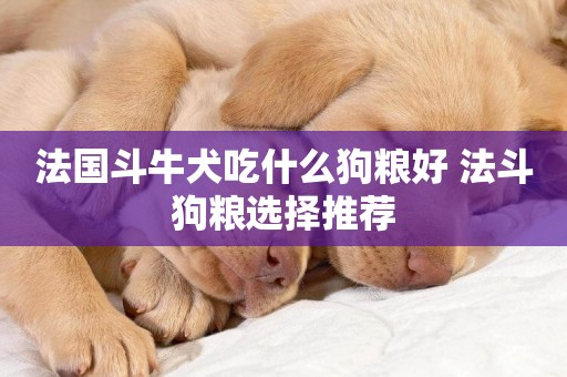 法國斗牛犬吃什么狗糧好 法斗狗糧選擇推薦