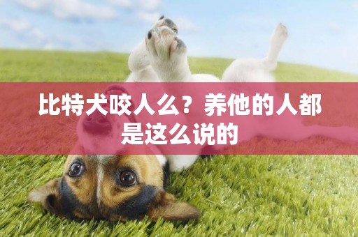 比特犬咬人么？養他的人都是這么說的