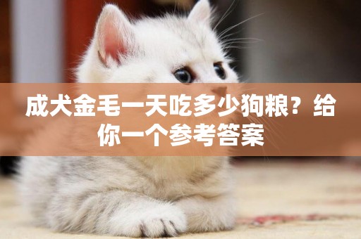成犬金毛一天吃多少狗糧？給你一個參考答案