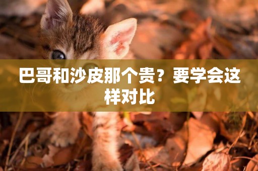 巴哥和沙皮那個貴？要學會這樣對比