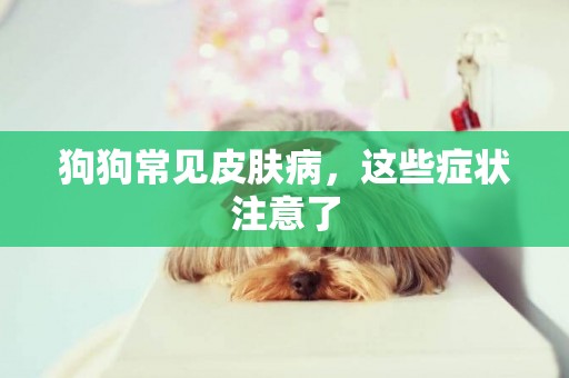 狗狗常見皮膚病，這些癥狀注意了