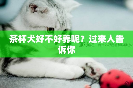茶杯犬好不好養呢？過來人告訴你