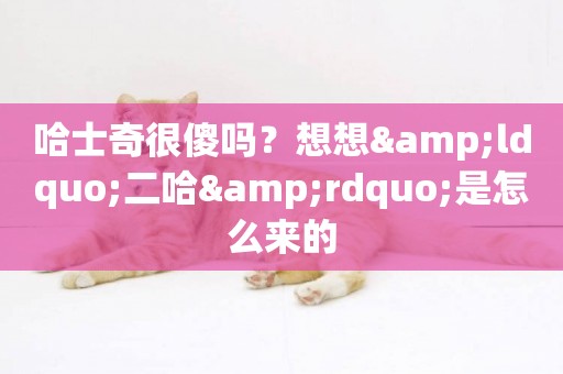 哈士奇很傻嗎？想想&ldquo;二哈&rdquo;是怎么來的
