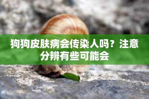 狗狗皮膚病會傳染人嗎？注意分辨有些可能會