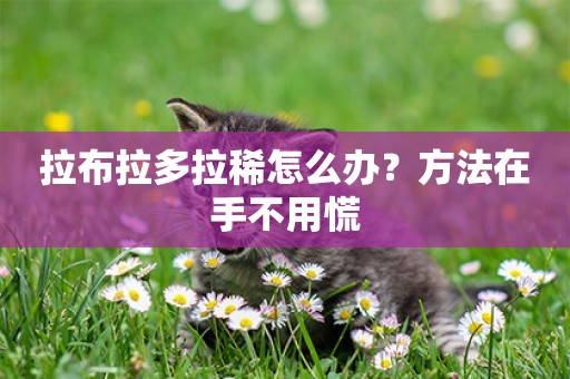 拉布拉多拉稀怎么辦？方法在手不用慌