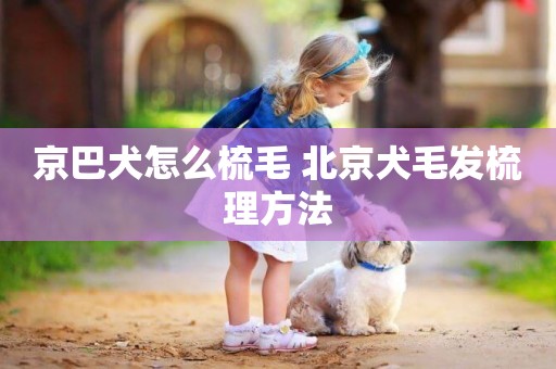 京巴犬怎么梳毛 北京犬毛發梳理方法