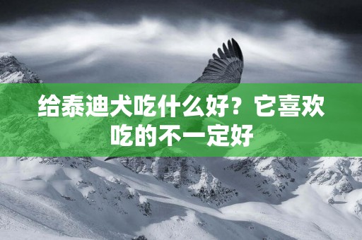 給泰迪犬吃什么好？它喜歡吃的不一定好