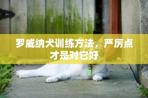 羅威納犬訓練方法，嚴厲點才是對它好