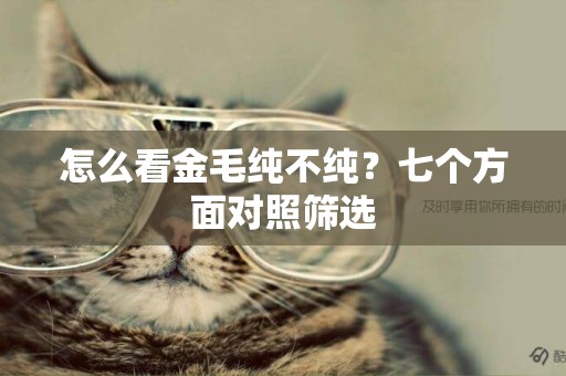 怎么看金毛純不純？七個方面對照篩選