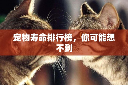 寵物壽命排行榜，你可能想不到